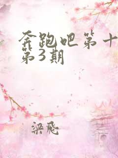 奔跑吧第十一季第3期