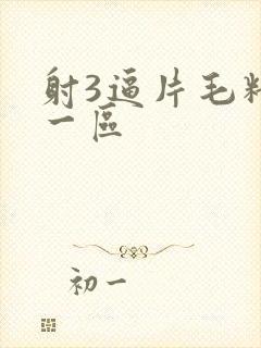 射3逼片毛精品一区