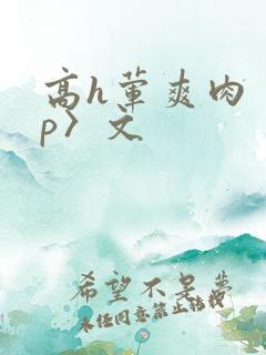 高h荤爽肉〈np〉文