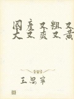 国产又粗又猛又大又爽又黄的视频