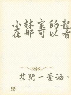 小林家的龙女仆在哪可以看