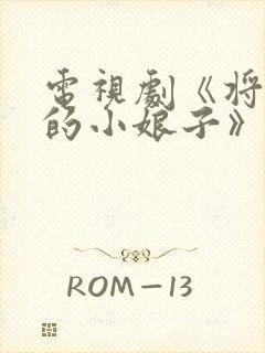 电视剧《将军家的小娘子》