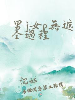 男j女p无遮挡全过程