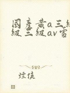 国产黄a三级三级三级av处女