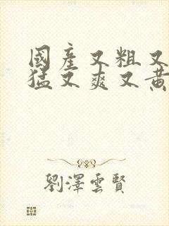 国产又粗又长又猛又爽又黄