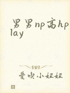 男男np高hplay