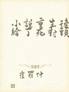 小说重生后我嫁给了死对头