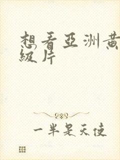 想看亚洲黄色一级片