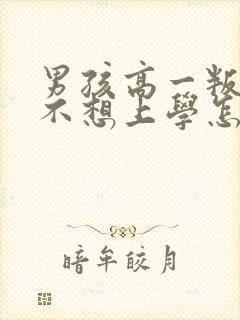 男孩高一叛逆期不想上学怎么办