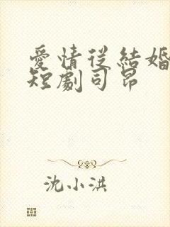 爱情从结婚开始短剧司昂