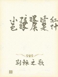 小孩眼睛红有黄色眼屎是什么原因