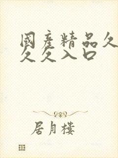 国产精品久久久久久入口