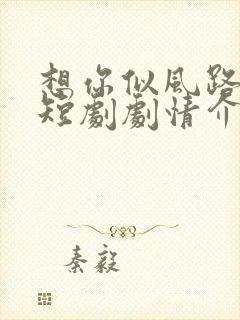 想你似风路过我短剧剧情介绍