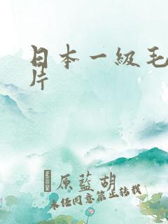 日本一级毛色大片