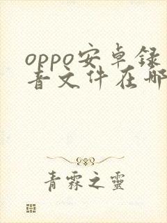 oppo安卓录音文件在哪个文件夹