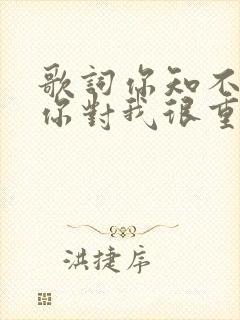 歌词你知不知道你对我很重要是什么歌曲