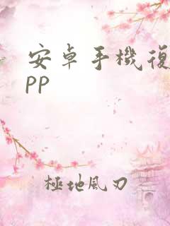 安卓手机复制app