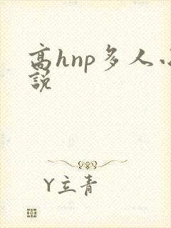 高hnp多人小说