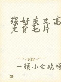 强好爽又高潮了免费毛片