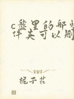 c盘里的哪些文件夹可以删除