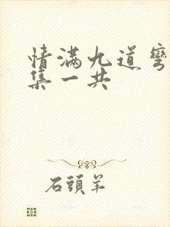 情满九道弯多少集一共