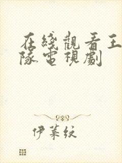 在线观看王牌部队电视剧