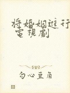 将婚姻进行到底 电视剧