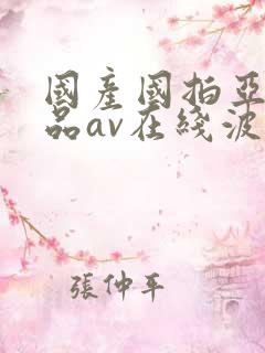 国产国拍亚洲精品av在线波野