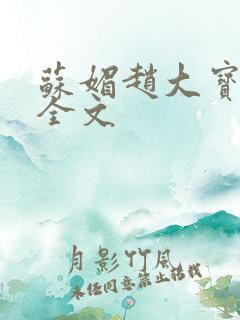 苏媚赵大宝小说全文