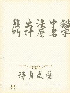 熊出没中猫头鹰叫什么名字