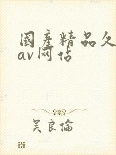 国产精品久久久av网站