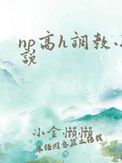 np高h调教小说