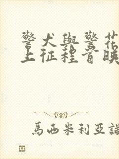 警犬与警花之再上征程首映时间