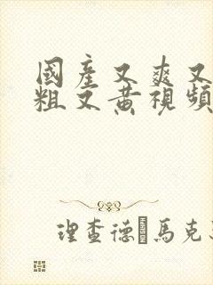 国产又爽又猛又粗又黄视频