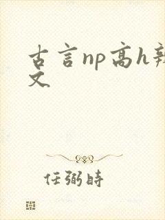 古言np高h辣文
