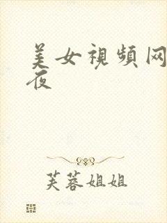 美女视频网站午夜