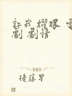 许我耀眼 电视剧 剧情