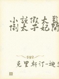 小说假太监从推倒太子妃开始李显最新章节列