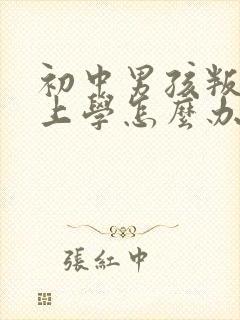 初中男孩叛逆不上学怎么办