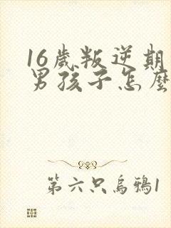 16岁叛逆期的男孩子怎么去引导