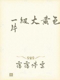 一级大黄色录像片