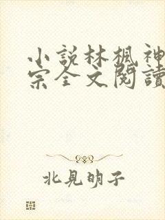 小说林枫神霄剑宗全文阅读
