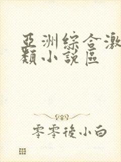 亚洲综合激情另类小说区