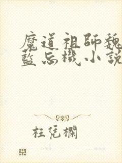 魔道祖师魏无羡蓝忘机小说未删减版