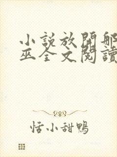 小说放开那个女巫全文阅读