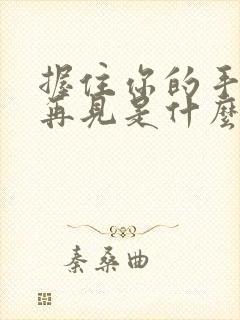 握住你的手说声再见是什么歌