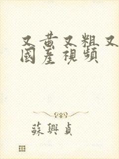 又黄又粗又爽的国产视频