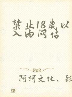 禁止18岁以下入内网站