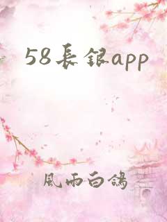 58长银app