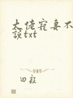大佬宠妻不腻小说txt
